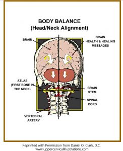 Body-Balance