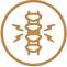 degenerated-disc-1