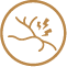 pinched-nerve-icon-1
