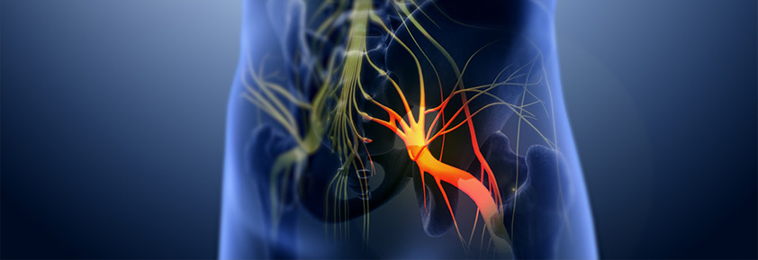 Sciatica-nerve